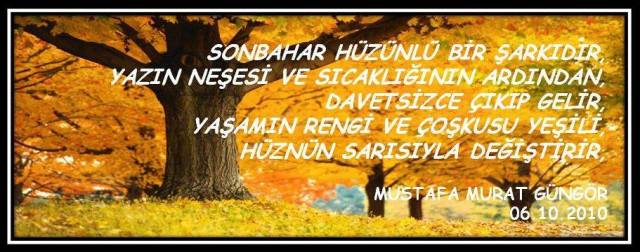 1011537_688669404506558_86429100_n