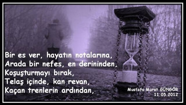 bir es ver