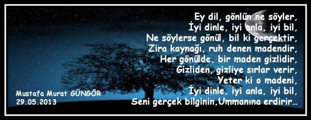 320381_640574575982708_1041447128_n