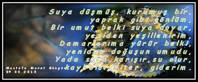 942283_634982879875211_1348336097_n