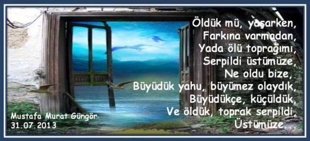 1003881_672066812833484_621924789_n