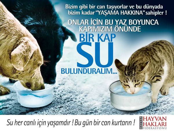 1017112_657176954322470_1018884493_n