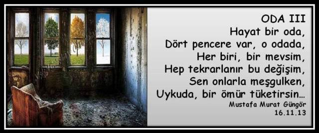 11229_730744253632406_432817573_n