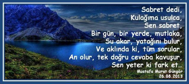 1186060_683672478339584_505908377_n