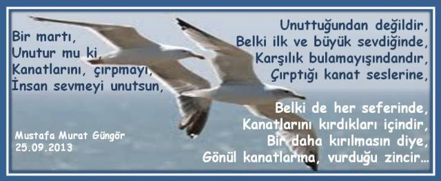 1237028_698486963524802_1508058590_n