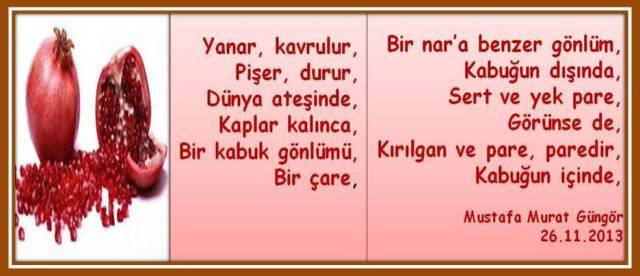 1455855_735245646515600_907686358_n