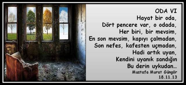 1474556_734708986569266_886618241_n