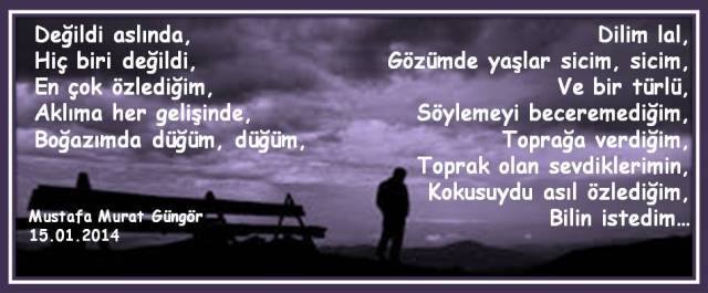 1601074_762456387127859_503444268_n