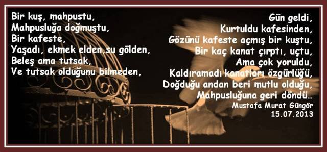 970257_662401767133322_252582878_n