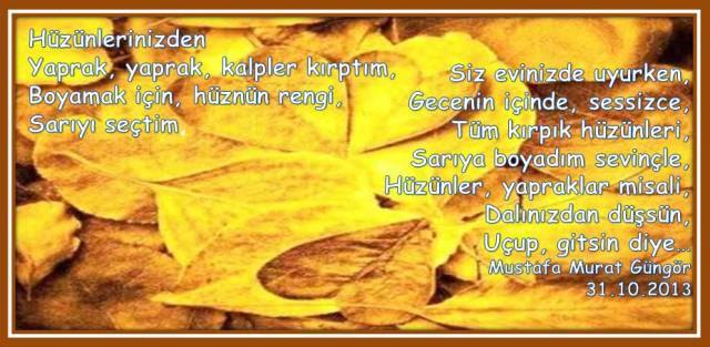 995876_720264131347085_1655634583_n