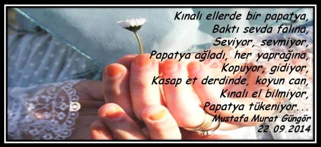 kınalı eldeki papatya