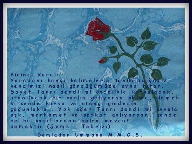 Şems-i Tebrizi 1. Kural