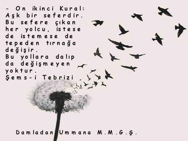 Şems 12.kural
