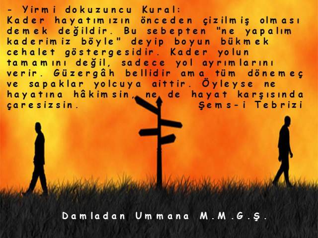 şems 29.kural