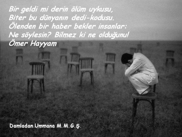 10500401_851752614888891_6964377810807210137_n