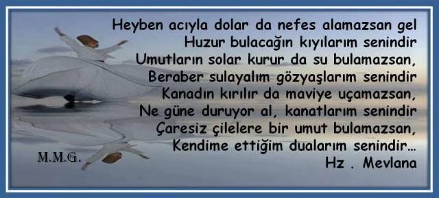 1723328_813973748666778_7235550696009098653_n