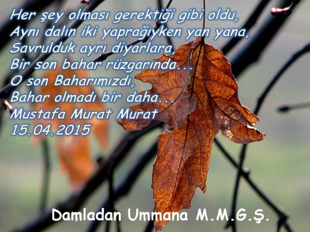 Bir daha bahar Olmadı