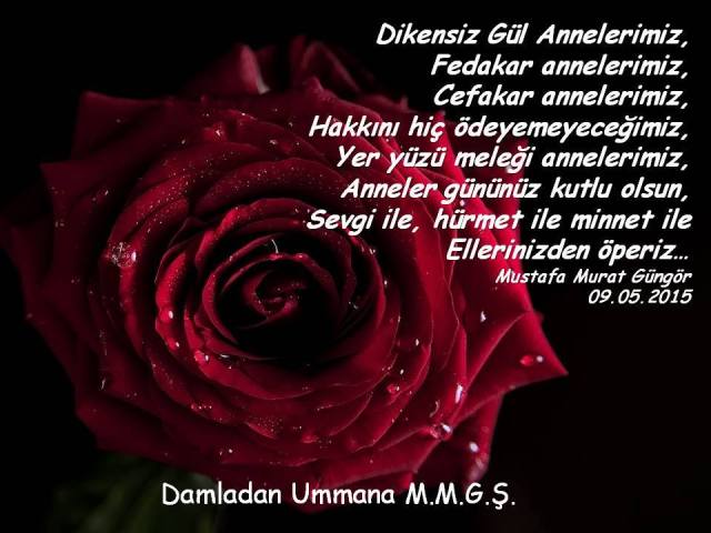 11209722_936872773043541_4369928136954597561_n