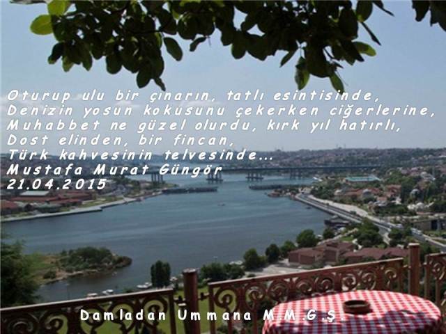 Türk kahvesi telvesi