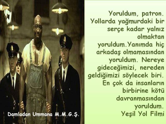 10881618_858653914198761_5962084211282624187_n