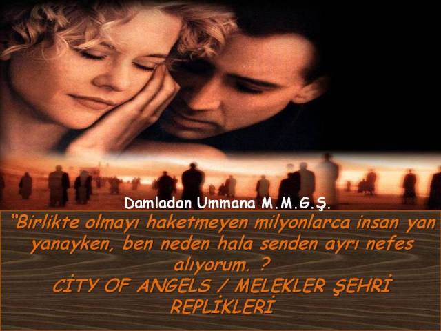 11024798_958806250850193_9167924646278005463_n