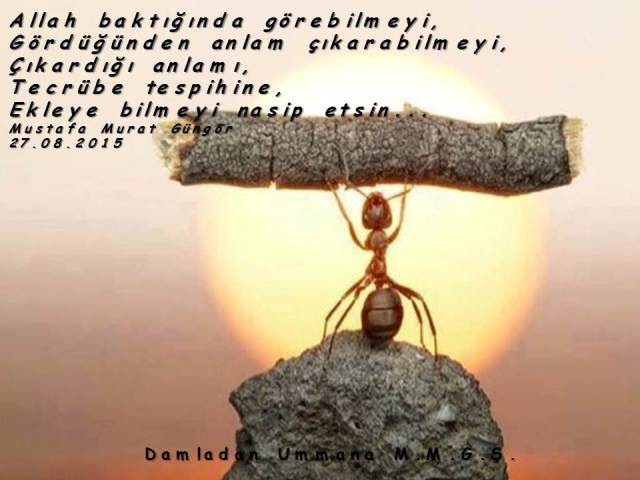 baktığında görebilmek