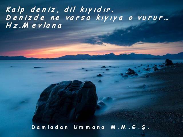 mevlana kalp deniz