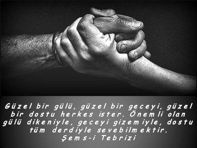 Şems-i Tebrizi Gülü dikeniyle