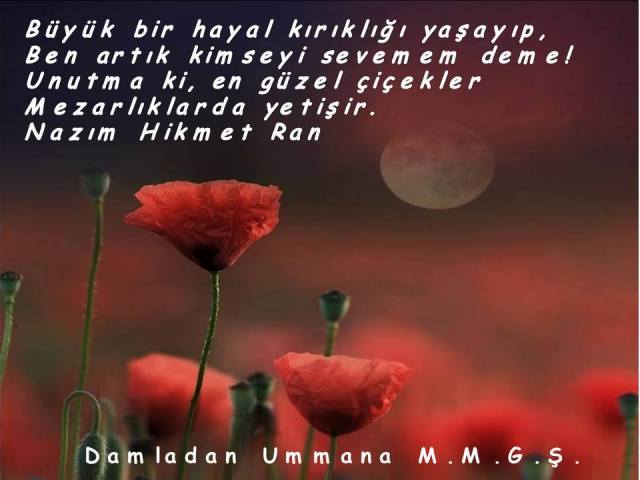 549404_956098031121015_533416877046492241_n