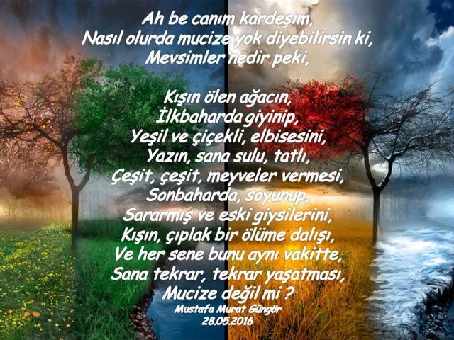Mucize