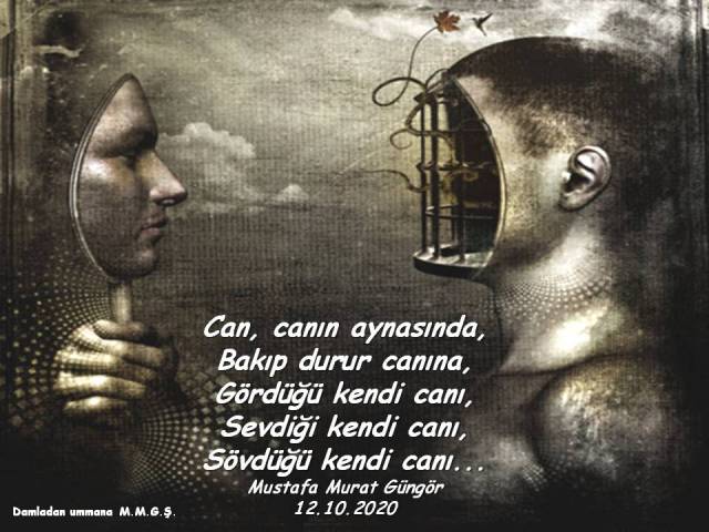 Can