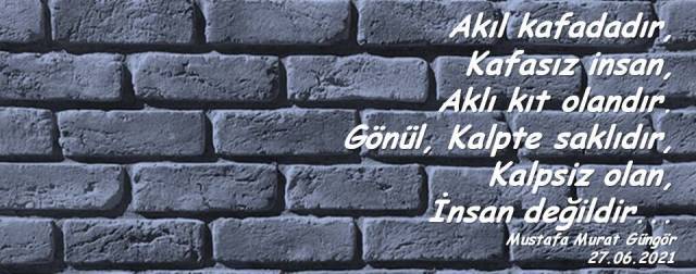 akıl gönül meselesi