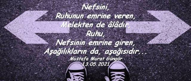 Ruh mu nefis mi